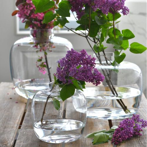 W czym eksponować wiosenne kwiaty? Nowa, limitowana kolekcja szklanych wazonów
